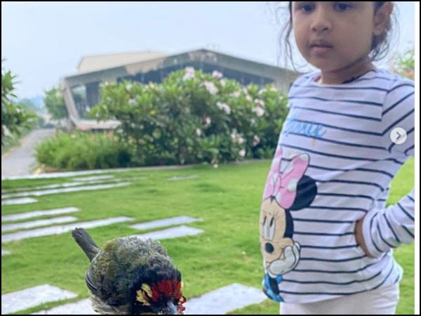 পশু-পাখির প্রতি ধোনির ভালোবাসা পশু-পাখির প্রতি ধোনির ভালোবাসা