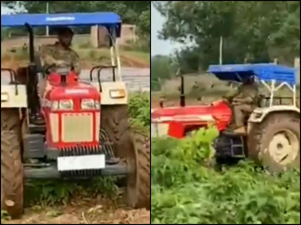 কোচ হিসেবে ফিরছেন ধোনি