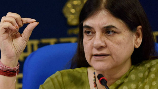 সারা শরীরে যন্ত্রণা সত্ত্বেও কারোর ক্ষতি করেনি হাতিটি