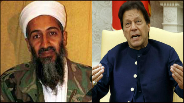 'শহিদ' লাদেন