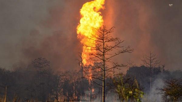 আগুন নিয়ন্ত্রণে আনতে সরকার সবরকম চেষ্টা করছে