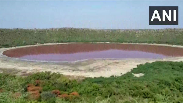 গোলাপী হ্রদের জল