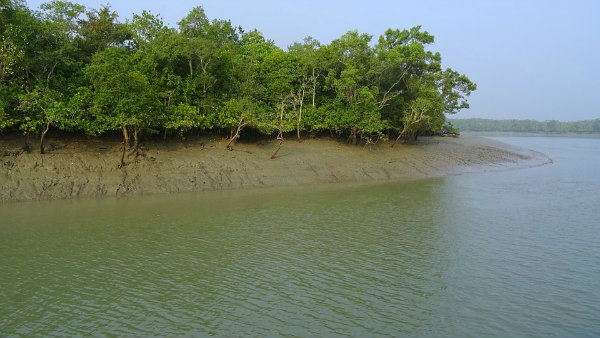 সুন্দরবন খুলছে ১৫ জুন থেকে সুন্দরবন খুলছে ১৫ জুন থেকে