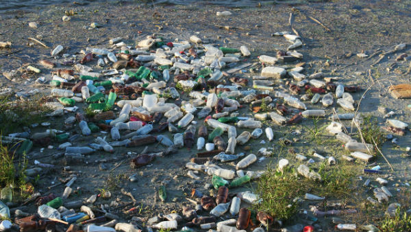 ১৯৫০ থেকে ২০১৭ সালে প্লাস্টিকের উৎপাদন বৃদ্ধি প্রায় ১৭০ গুণ ১৯৫০ থেকে ২০১৭ সালে প্লাস্টিকের উৎপাদন বৃদ্ধি প্রায় ১৭০ গুণ