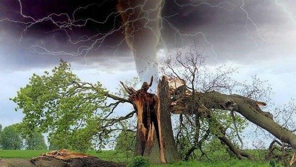 বজ্রপাতে মৃত্যুর হার 