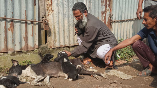 প্রতি বছর নাগাল্যান্ডে ৩০ হাজার কুকুর হত্যা করা হয়