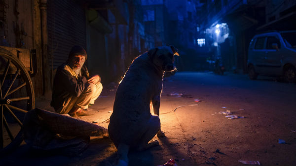 নাগাল্যান্ড ও উত্তর–পূর্ব রাজ্যে কুকুরের মাংস খাওয়া হয়