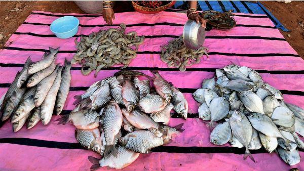 কোভিড–১৯ সংক্রমিত হয়েছে প্রাণী থেকে কোভিড–১৯ সংক্রমিত হয়েছে প্রাণী থেকে