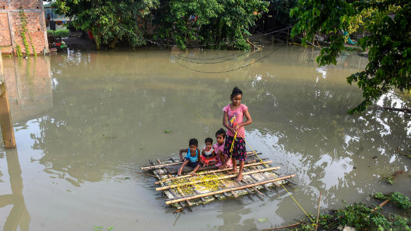 ১.২১ লক্ষ গৃহপালিত পশু ক্ষতিগ্রস্ত