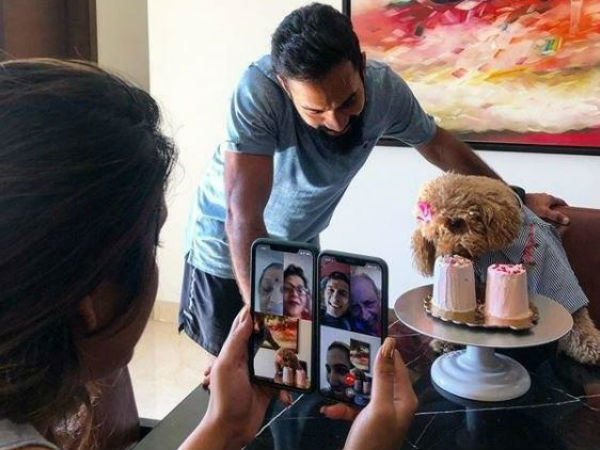 পোষ্যের জন্মদিনে কেক তৈরি করেছিলেন নাইট অধিনায়ক 