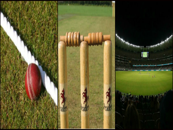 মহিলা ক্রিকেট থেকে অন্তর্ভূক্ত লিসা স্টালেকার মহিলা ক্রিকেট থেকে অন্তর্ভূক্ত লিসা স্টালেকার