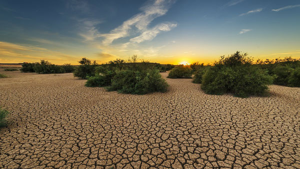 এল নিনো ও লা নিনোর আসল পার্থক্য কোথায় ? এল নিনো ও লা নিনোর আসল পার্থক্য কোথায় ?