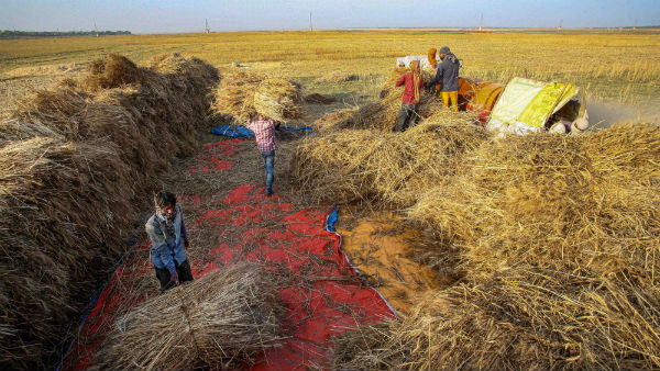 কৃষিজাত পণ্য রফতানি এগিয়ে কোন রাজ্য ? কৃষিজাত পণ্য রফতানি এগিয়ে কোন রাজ্য ?