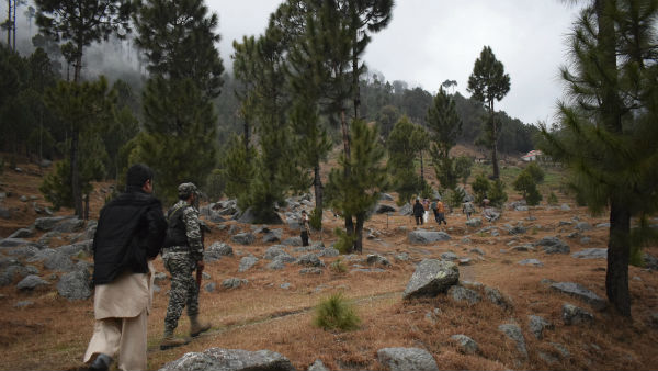 উদ্ধার হয়েছে বিপুল অস্ত্র উদ্ধার হয়েছে বিপুল অস্ত্র
