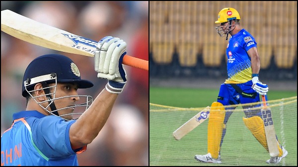 ধোনির চাষের ফসল যাবে দুবাইয়ে ধোনির চাষের ফসল যাবে দুবাইয়ে