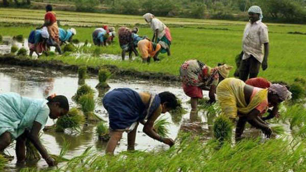  কেন শিরোমনি অকালি দলের বিরোধিতা?