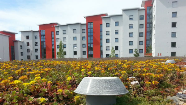 ৫২ শতাংশ পর্যন্ত বিক্রি হ্রাস