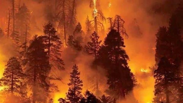 সাত গুণ বেড়েছে কার্বন মনোক্সাইডের ঘনত্ব