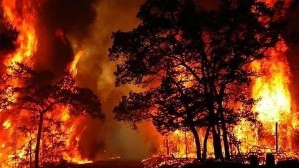 এই দাবানলের জেরে জলবায়ু পরিবর্তনও ঘটতে পারে