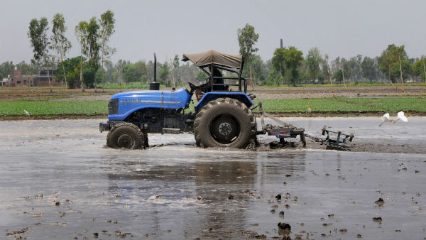 অতিবৃষ্টির ভয়াবহ উদাহরণ