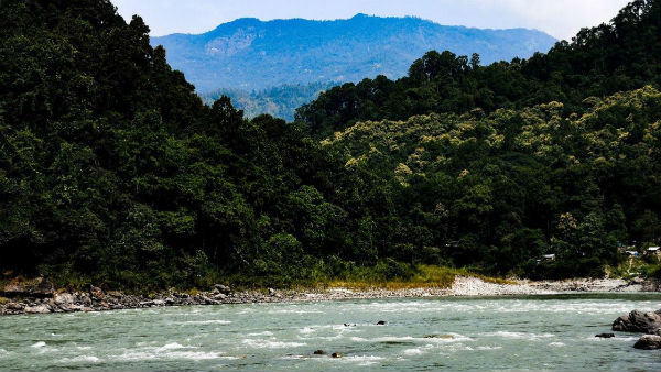 কী কী দেখবেন