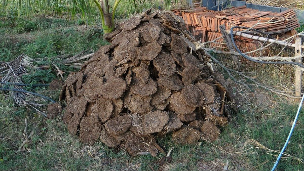গোবর দিয়ে তৈরি বিকিরণ চিপ