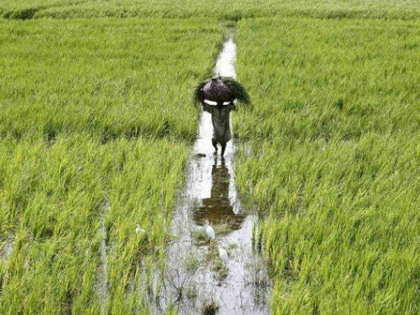 সরকার সহায়তা করার জন্য সদা প্রস্তুত