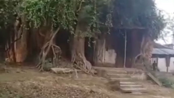 তন্ত্র সাধনা ও কৌশিকী অমাবস্যা তন্ত্র সাধনা ও কৌশিকী অমাবস্যা