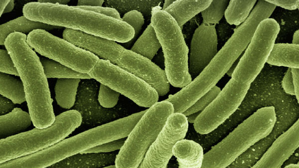 কোভিডের মতো প্রাণঘাতী নয় ছাপারে কোভিডের মতো প্রাণঘাতী নয় ছাপারে