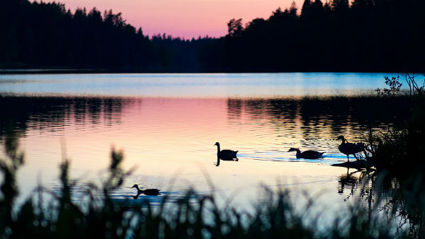 কী কী দেখবেন কী কী দেখবেন