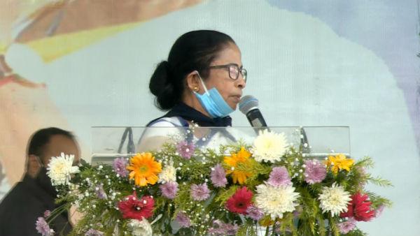 এবার আমিই দল দেখব, স্পষ্ট ইঙ্গিত মমতার