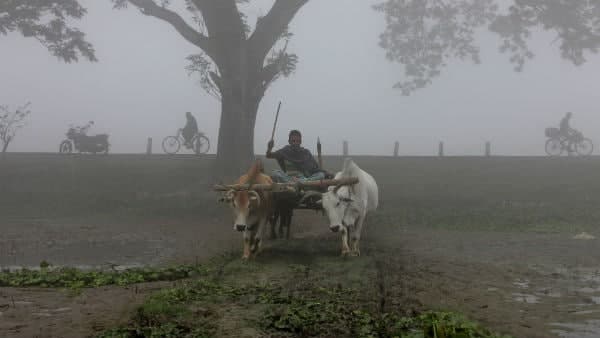 পূর্ব ভারতের রাজ্যগুলিতে আকাশ পরিষ্কার থাকবে