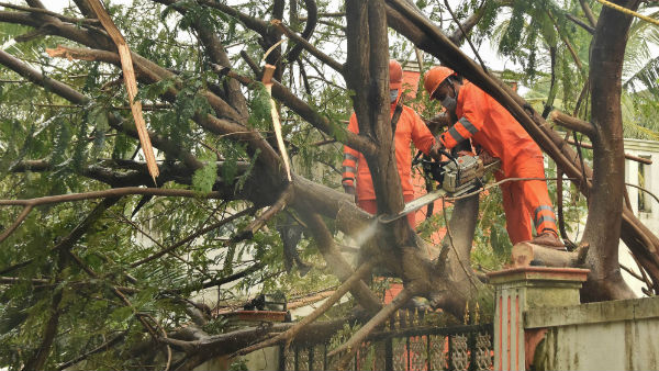 নষ্ট ১১০ টি বাড়ি, ৩৮০ টি গাছ পড়েছে তামিলনাড়ু জুড়ে!