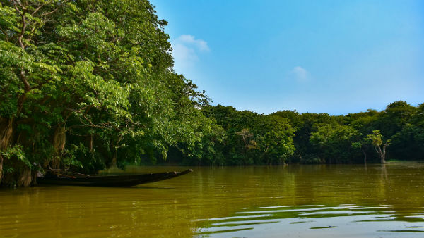 কোথায় থাকবেন কোথায় থাকবেন