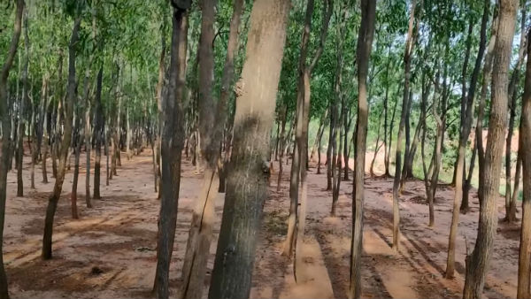 কোথায় থাকবেন কোথায় থাকবেন