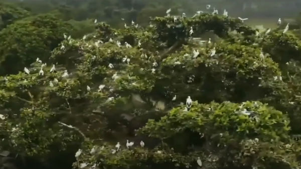 আয়তন