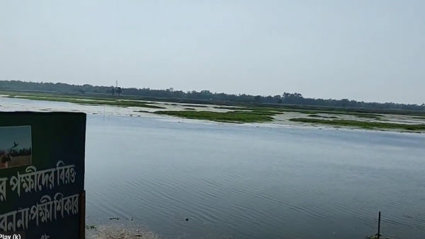 কী দেখবেন কী দেখবেন