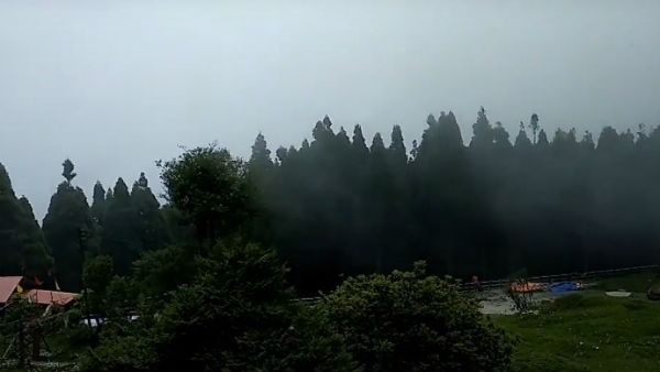 ইতিহাস ইতিহাস