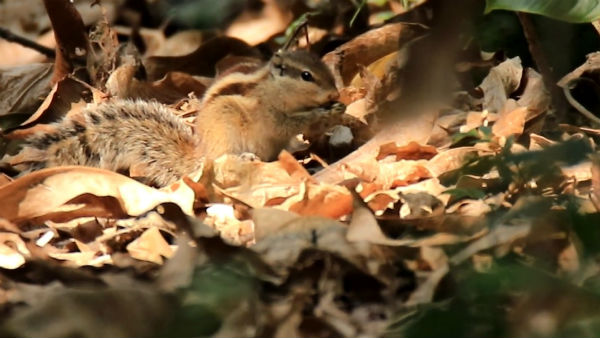 কী কী দেখবেন কী কী দেখবেন