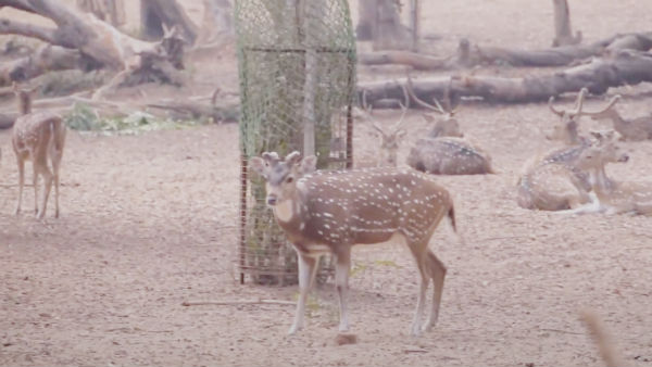 কোথায় থাকবেন