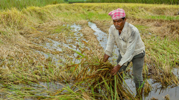 কৃষক সহ সমাজের বিভিন্ন শ্রেণির মানুষের পাশে থাকার বার্তা