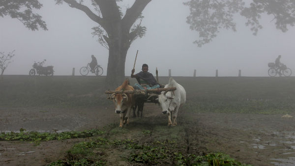 কনকনে ঠাণ্ডার কবলে উত্তর ভারত কনকনে ঠাণ্ডার কবলে উত্তর ভারত