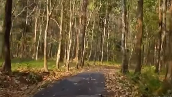 অবস্থান