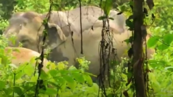 কীভাবে পৌঁছবেন