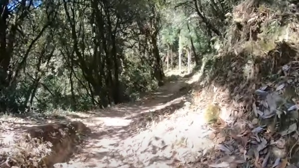 কী কী দেখবেন কী কী দেখবেন
