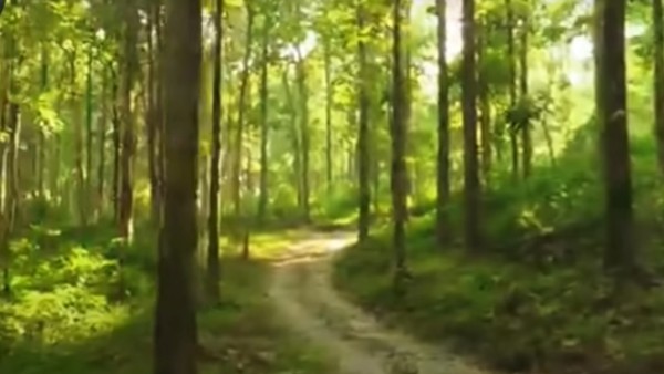 কোথায় থাকবেন