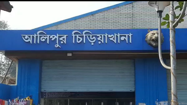 খুলল চিড়িয়াখানা খুলল চিড়িয়াখানা