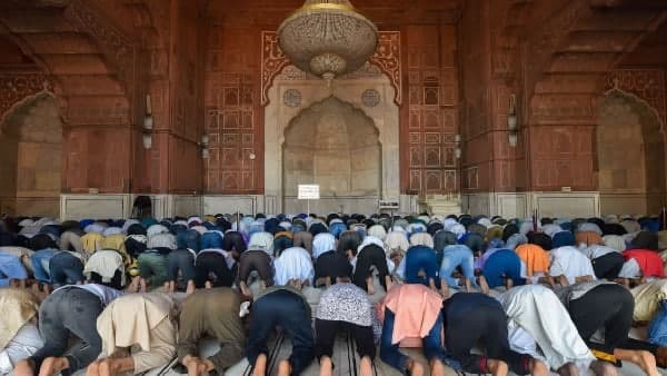 গোটা এলাকা জুড়ে সবুজায়ন কর্মসূচি