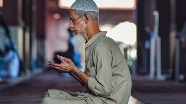 শুরু হয় সবুজায়নের কাজ শুরু হয় সবুজায়নের কাজ