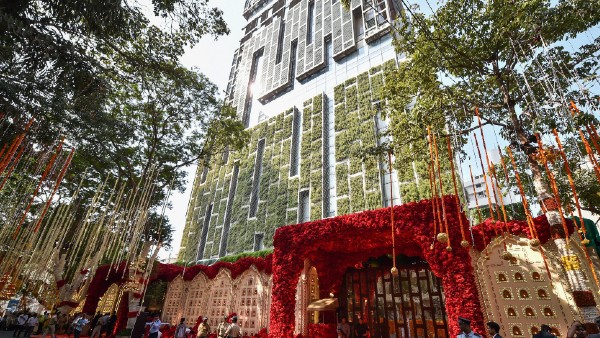  পরিবারের সমর্থন বেজকে